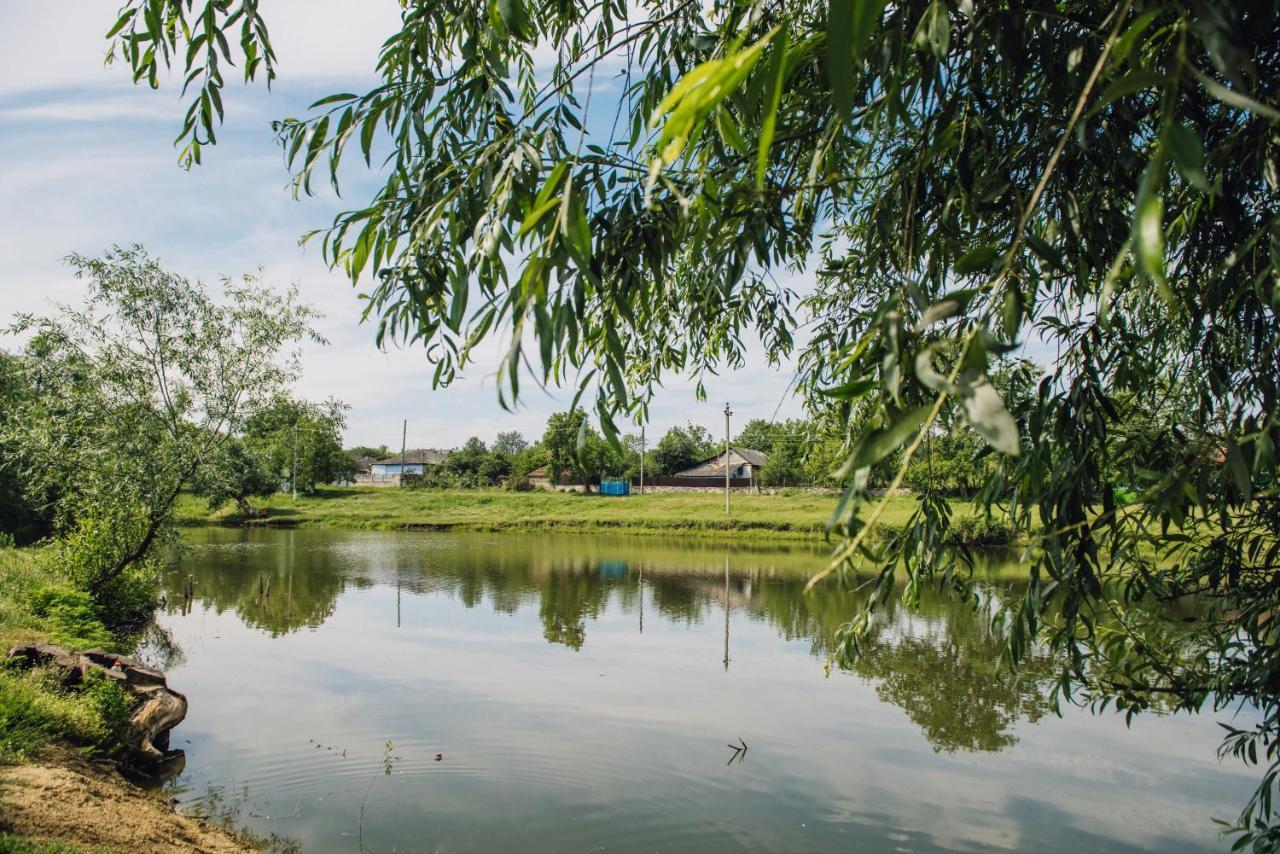 Casuta De Langa Lac Saharna Noua Ngoại thất bức ảnh