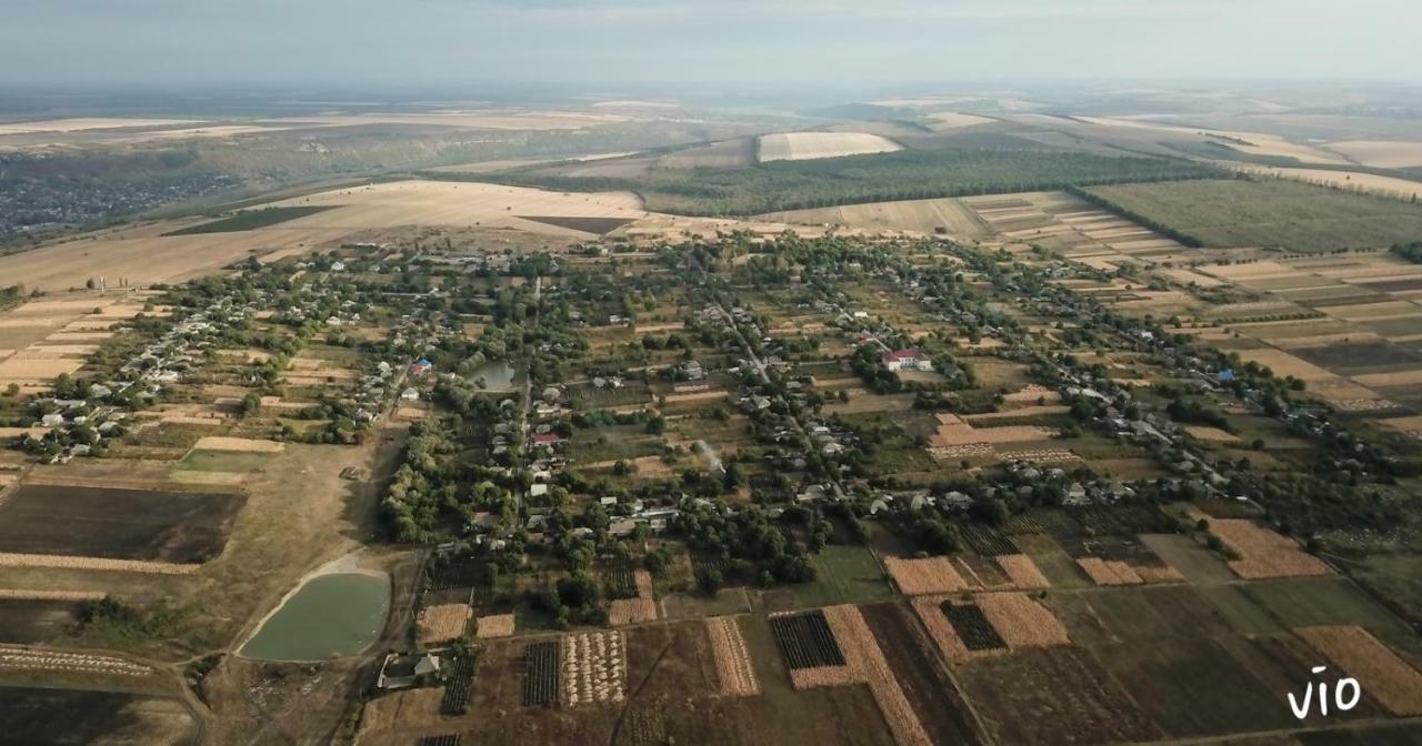 Casuta De Langa Lac Saharna Noua Ngoại thất bức ảnh
